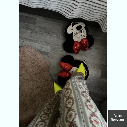 Запорожье Индивидуалка карт нет наличные на фот Минни маус фото 3